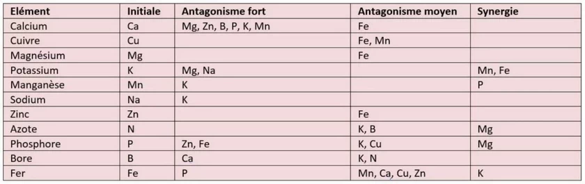 interaction entre les différetns éléments présents dans un sol de culture