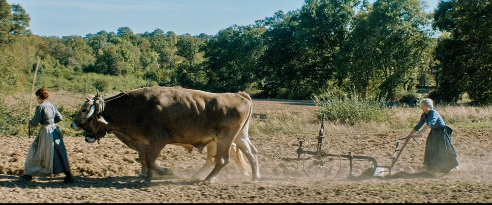 Photo ; Les gardiennes de la terre