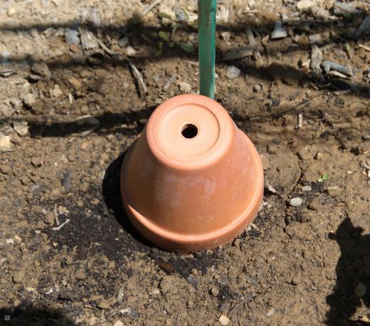 protection semi part un pot en terre cuite